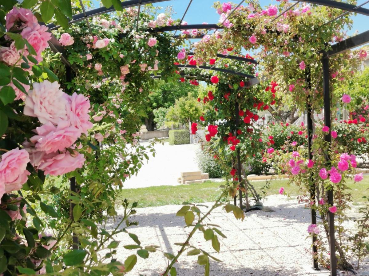 Gite En Provence "Rose" Modene Exterior foto