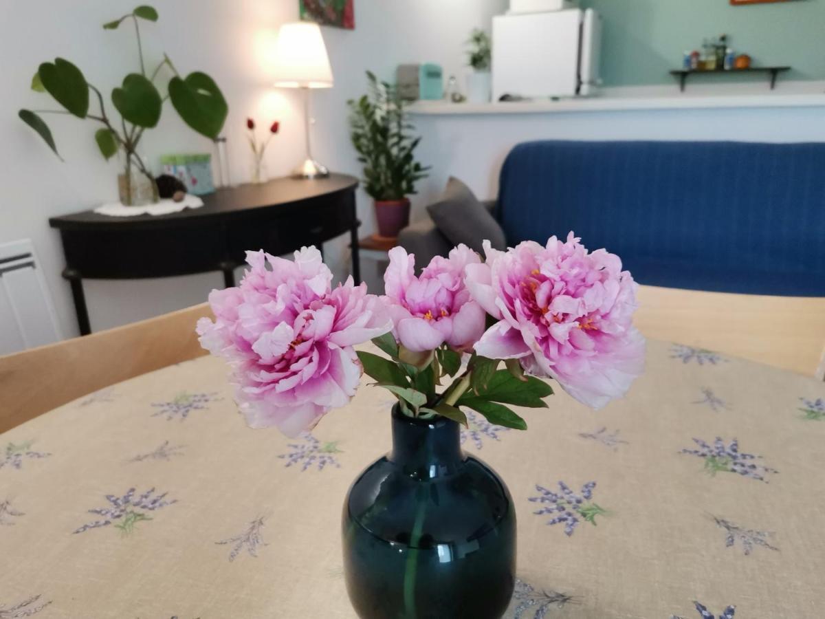 Gite En Provence "Rose" Modene Exterior foto