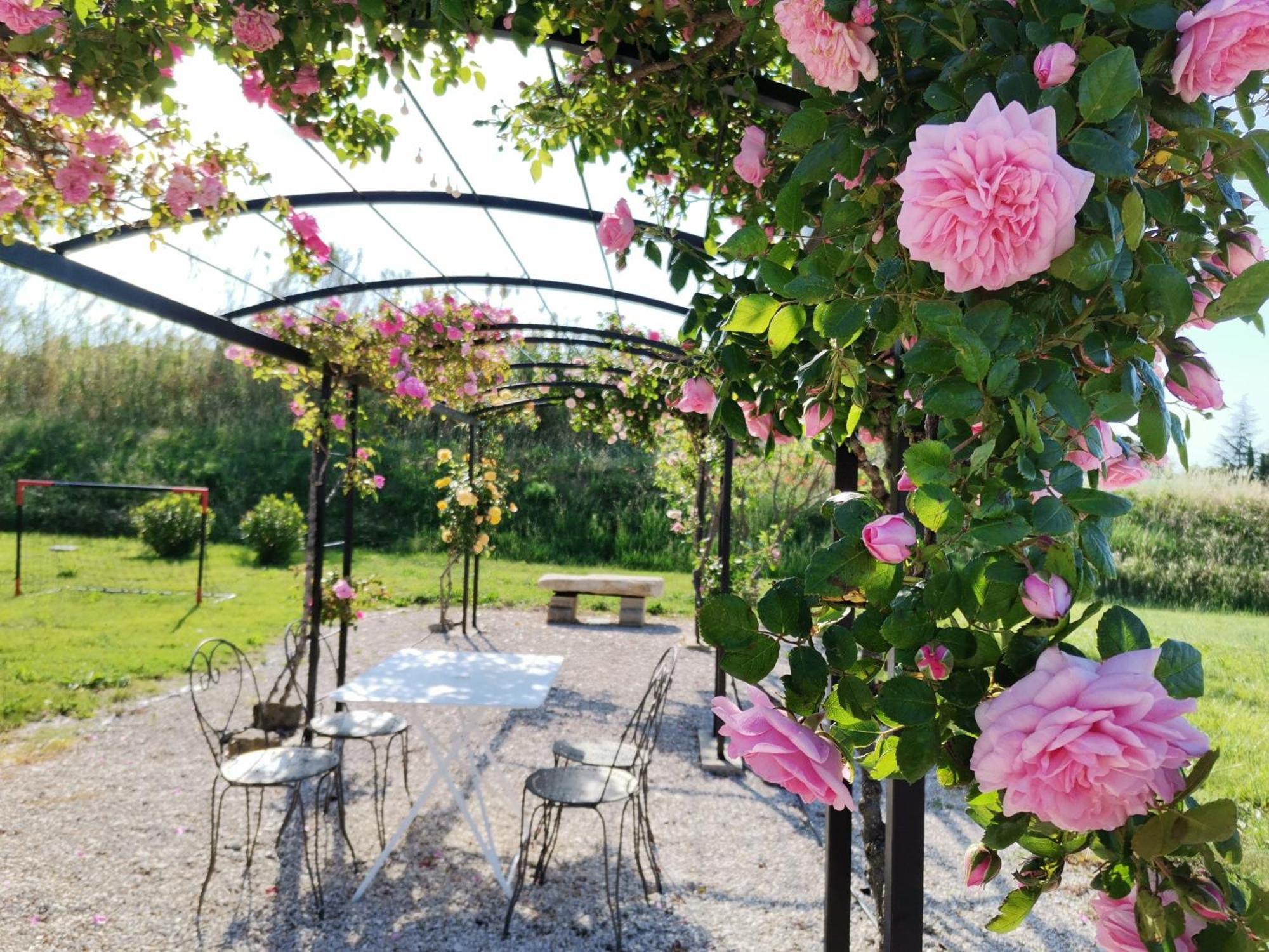 Gite En Provence "Rose" Modene Exterior foto