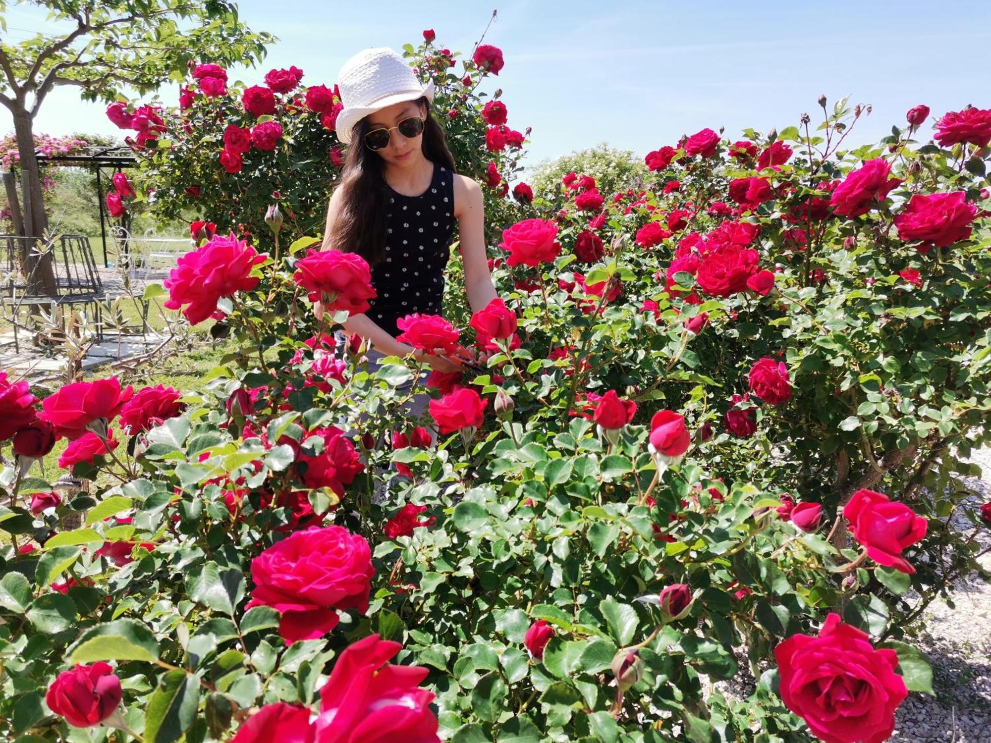 Gite En Provence "Rose" Modene Exterior foto