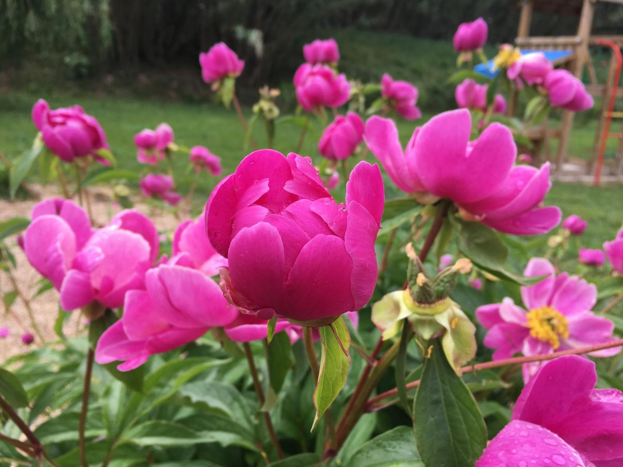 Gite En Provence "Rose" Modene Exterior foto