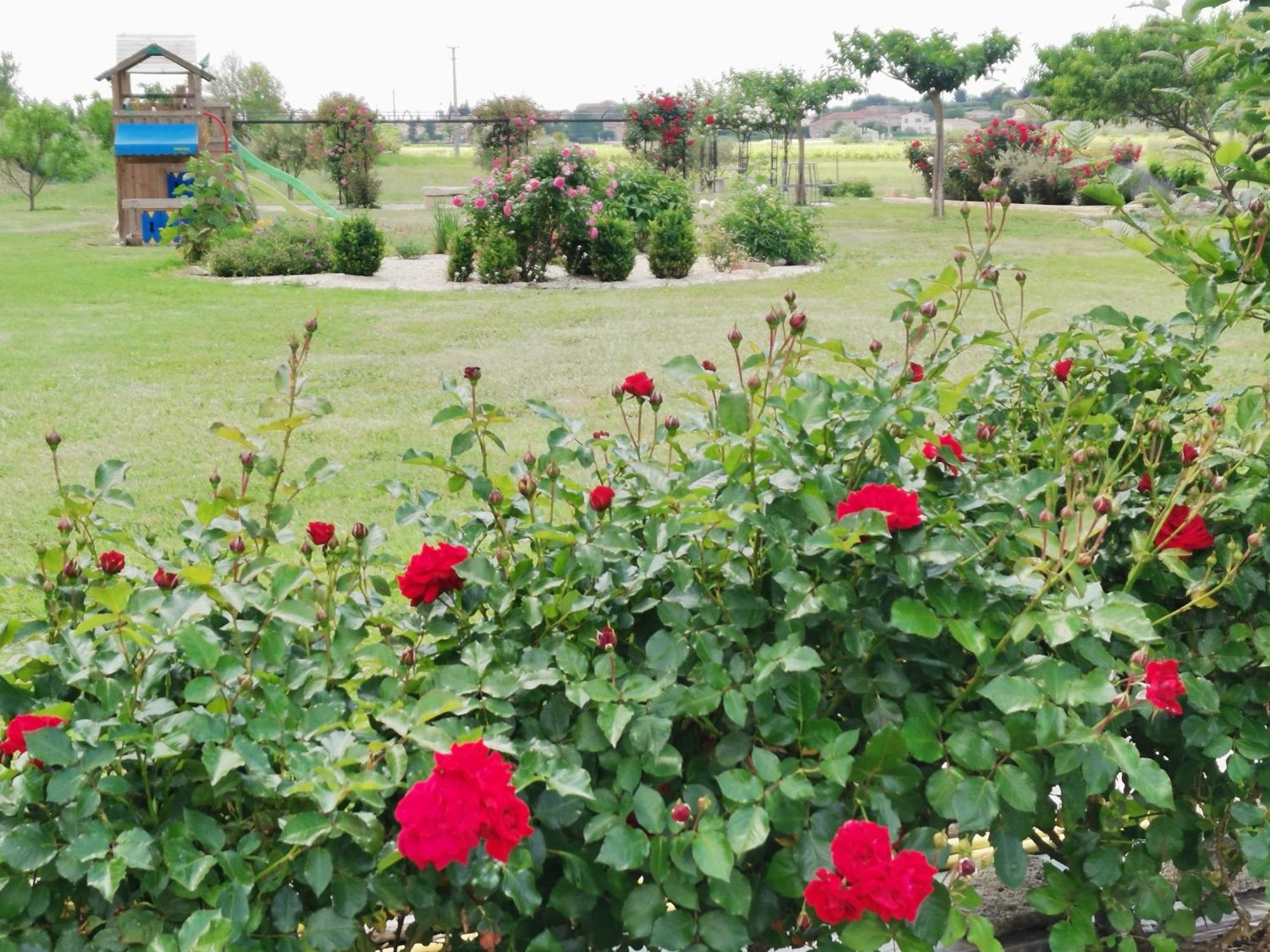 Gite En Provence "Rose" Modene Exterior foto