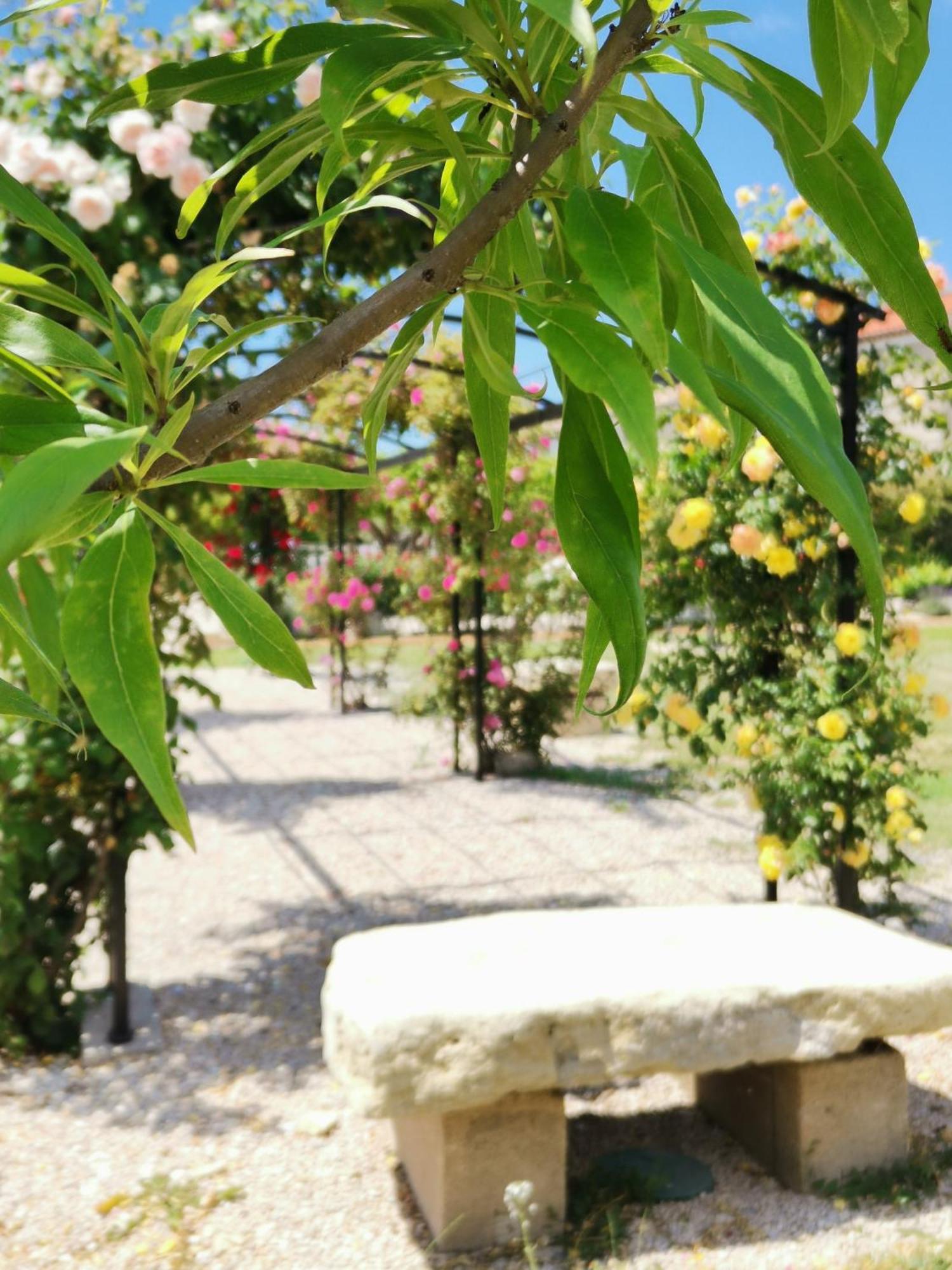 Gite En Provence "Rose" Modene Exterior foto